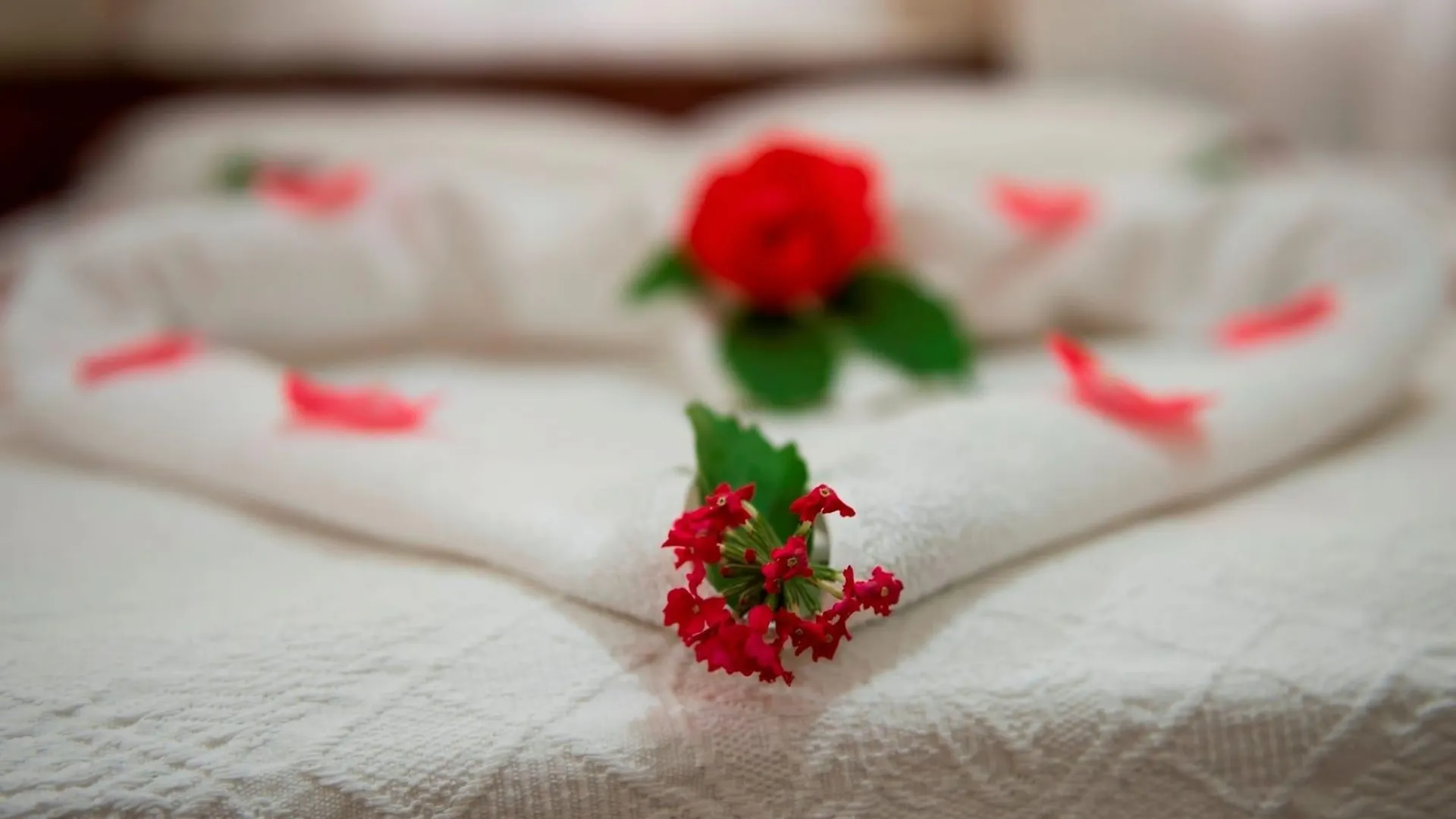 Han Dalyan Hotel